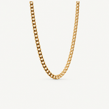 Cora Curb Chain Necklace