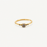 Labradorite & Black CZ Adjustable Ring