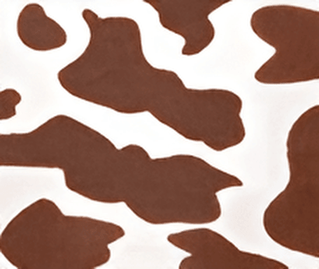 Momo Brown Cow - Pattern Mesh - sides boxer - Volaea Pickleball Attire