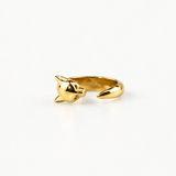 ring leopard